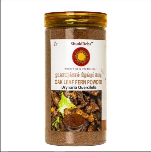 Mudavattukal Kizhangu / முடவாட்டுக்கால் கிழங்கு /Kadikpan / Oak Leaf Basket Fern/Drynaria quercifolia / Marappan Kilangu /Vidari Bele - 100g